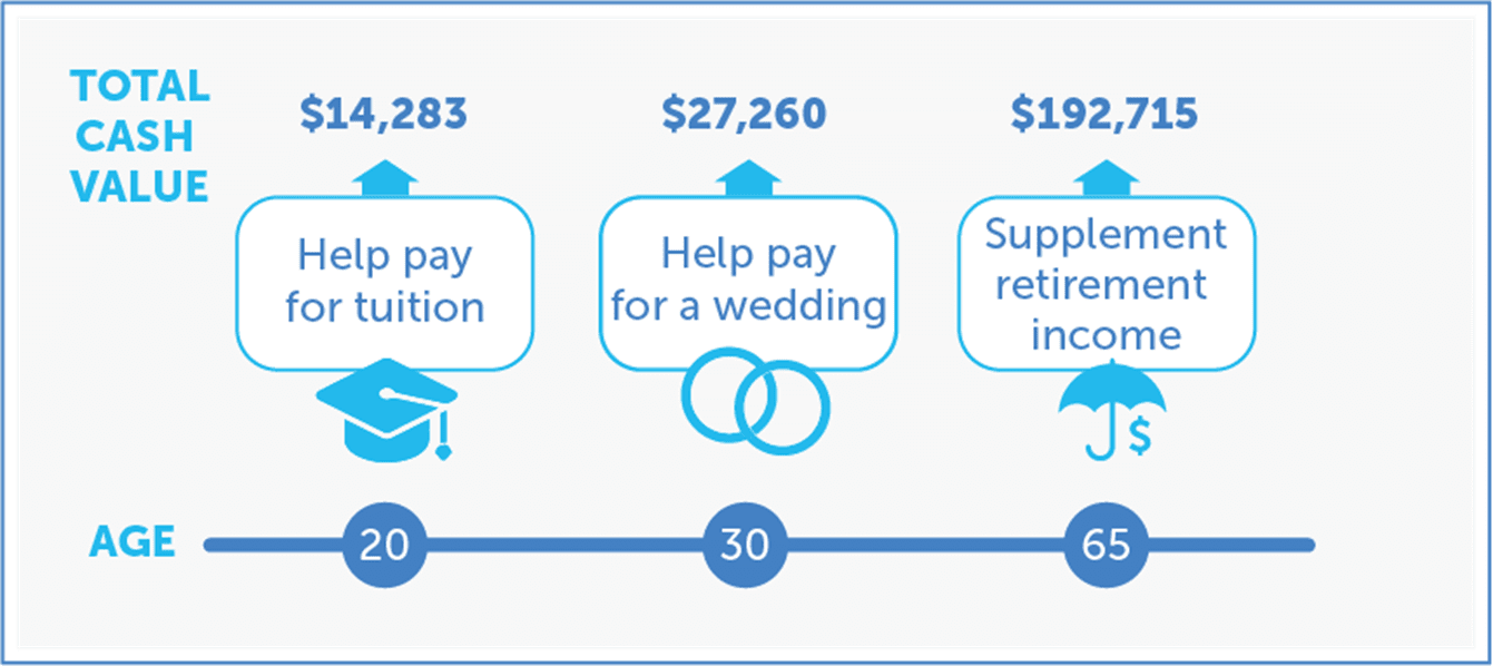 The Compound Effect: Grow Your Money With Whole Life Insurance 