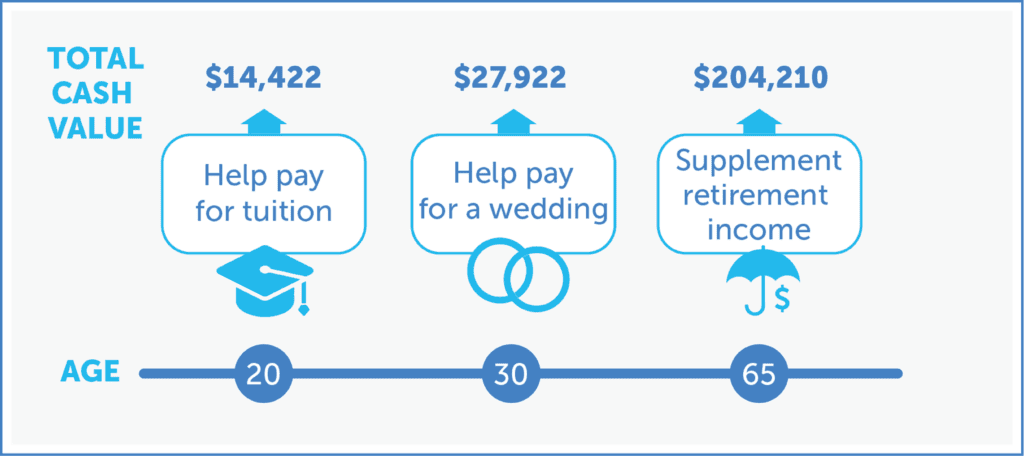 Total cash value at age 20, 30, and 65